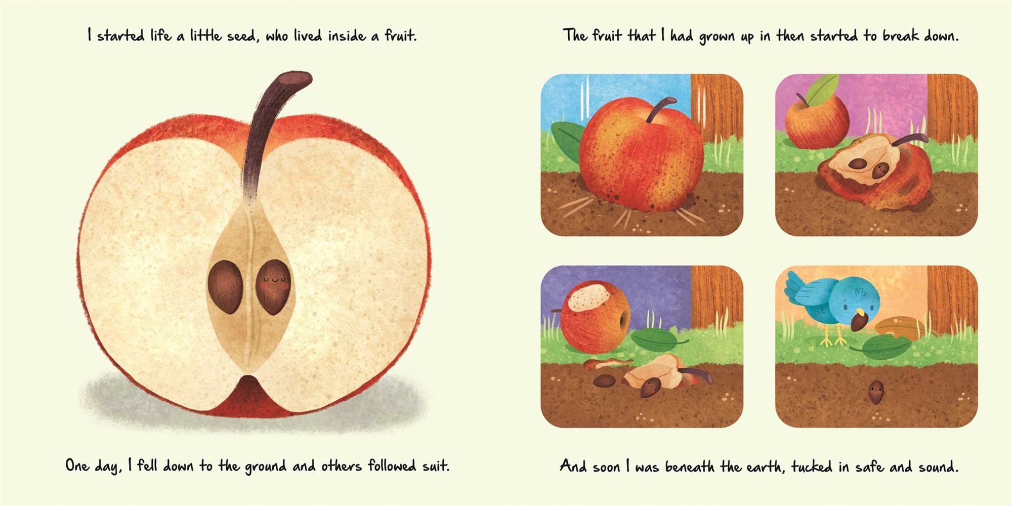 Nature Stories: Little Apple Tree: Discover an Amazing Story from the Natural World-Padded Board Book