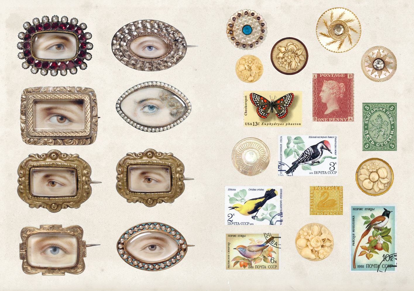 The Curious Collections Sticker Book