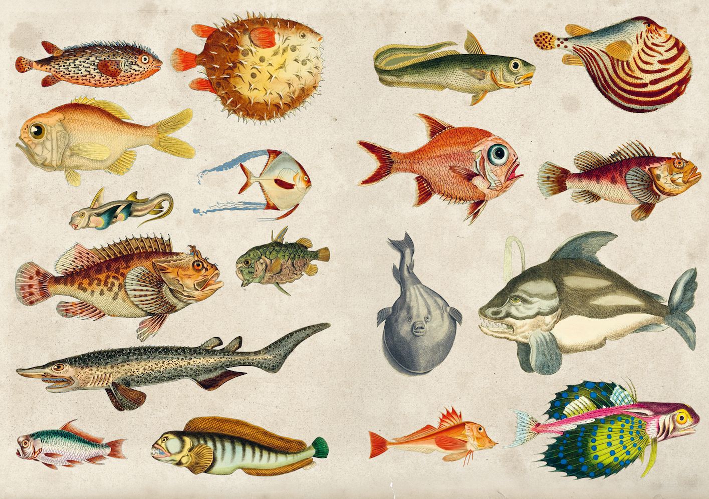 The Curious Collections Sticker Book