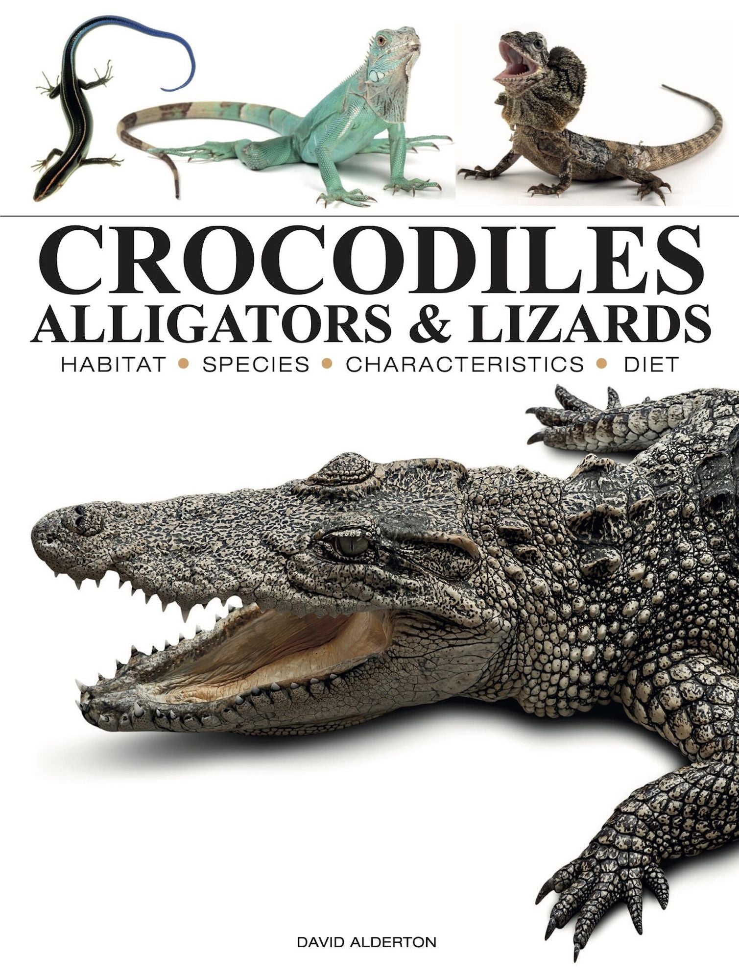 Crocodiles, Alligators & Lizards: From Black Caimans to Komodo Dragons