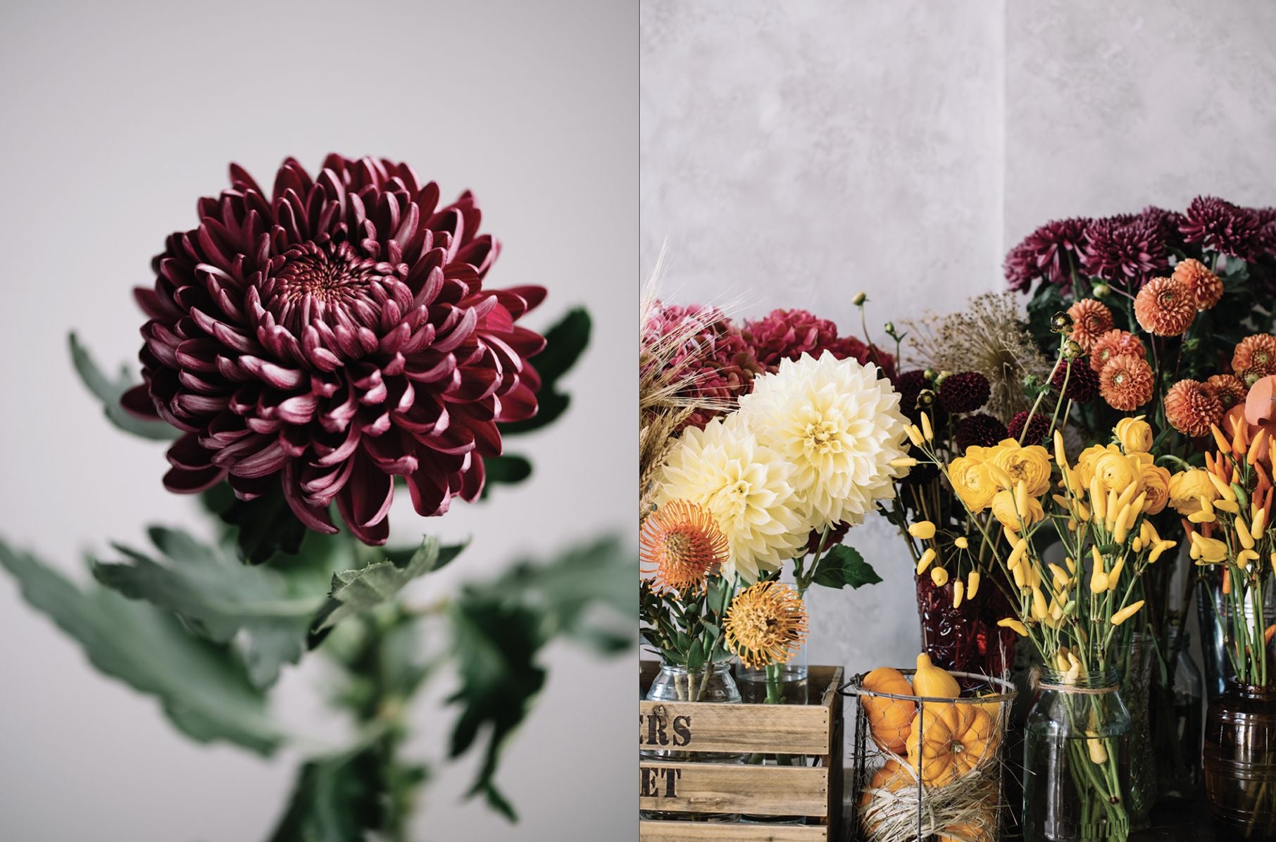 Flowers