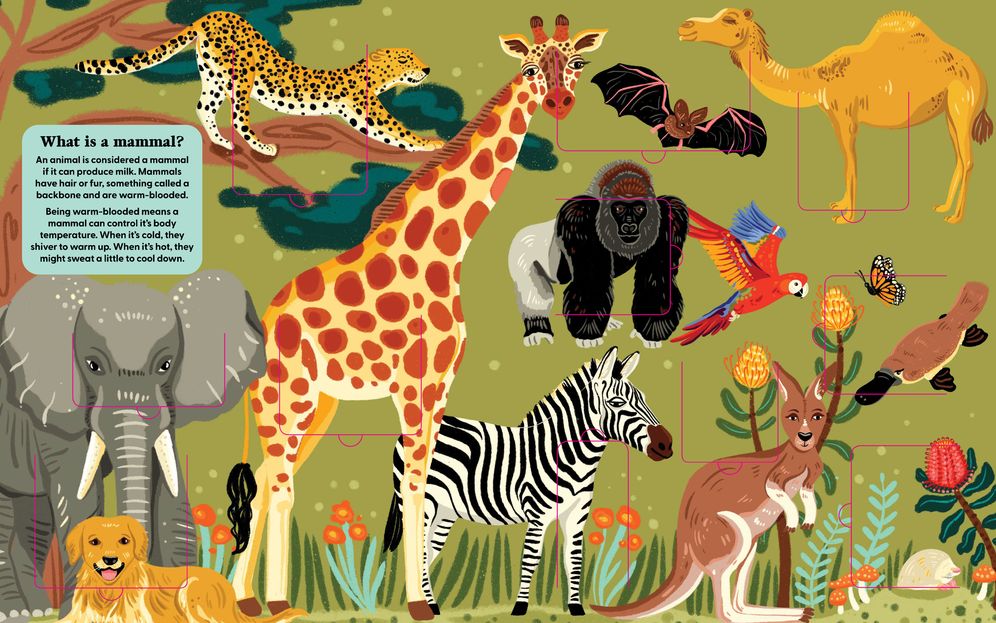 Animals: Lift The Fact
