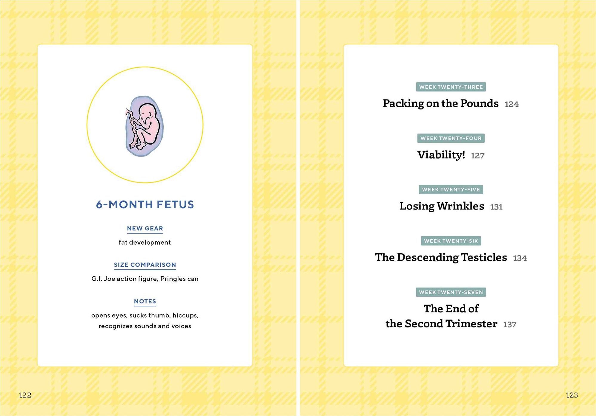 We're Pregnant! The First Time Dad's Pregnancy Handbook