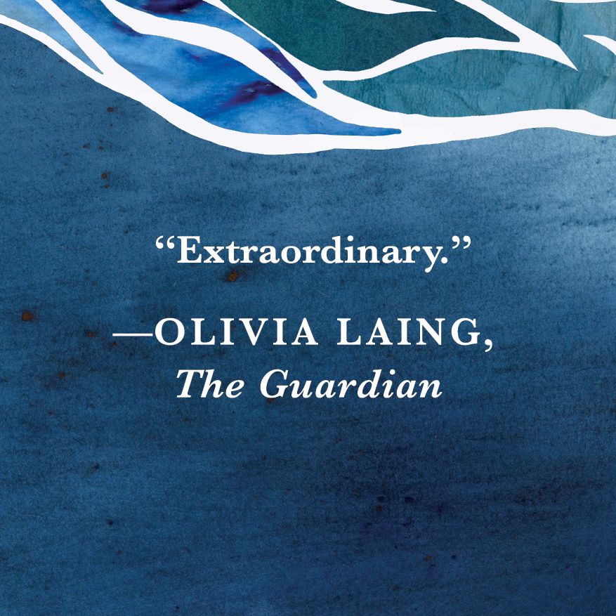 Waterlog: A Swimmer's Journey Through Britain