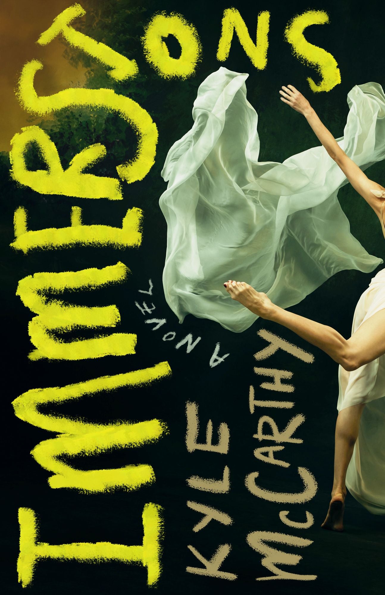 Immersions: A Novel
