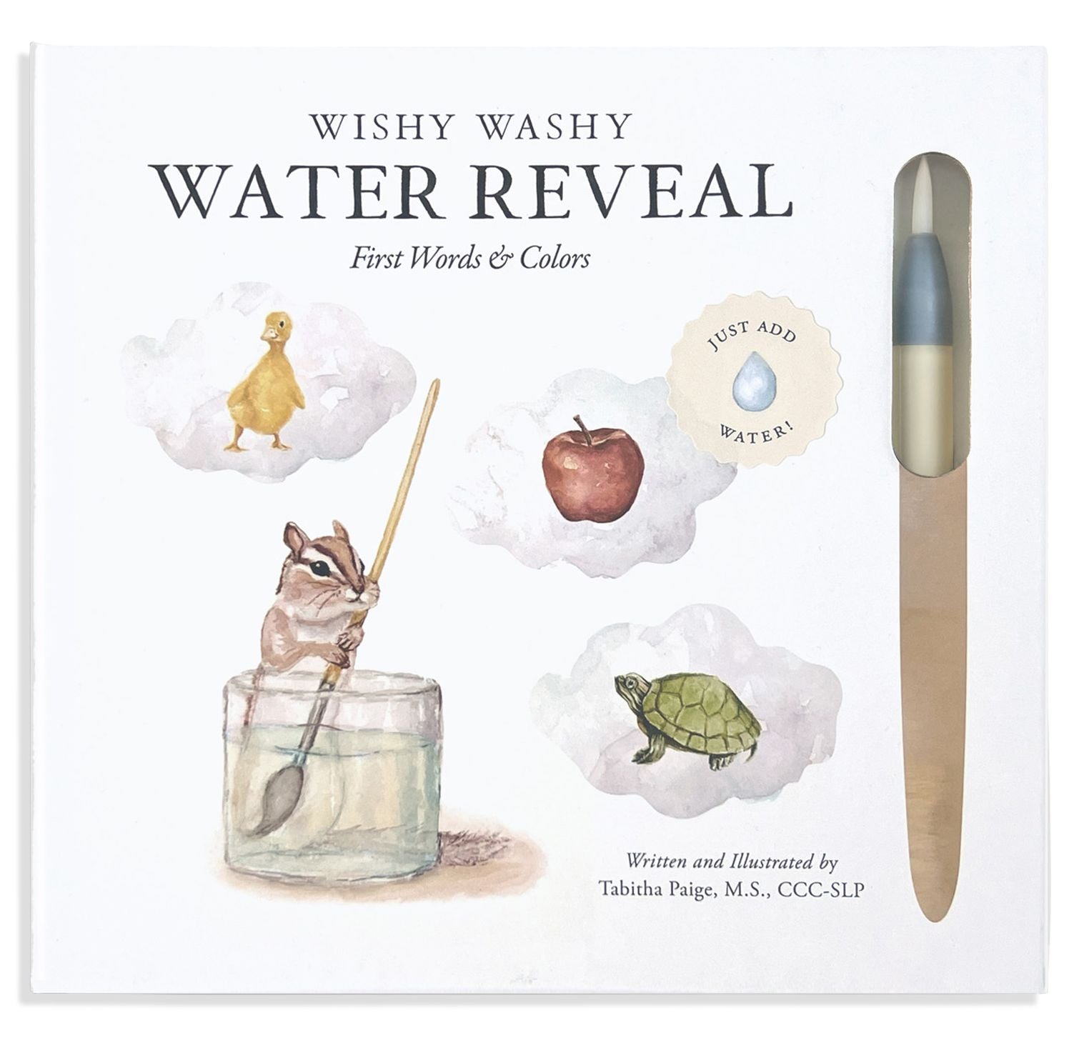 Wishy Washy (Water Reveal Edition): A Reusable Water Reveal Activity Book Teaching First Words and Colors