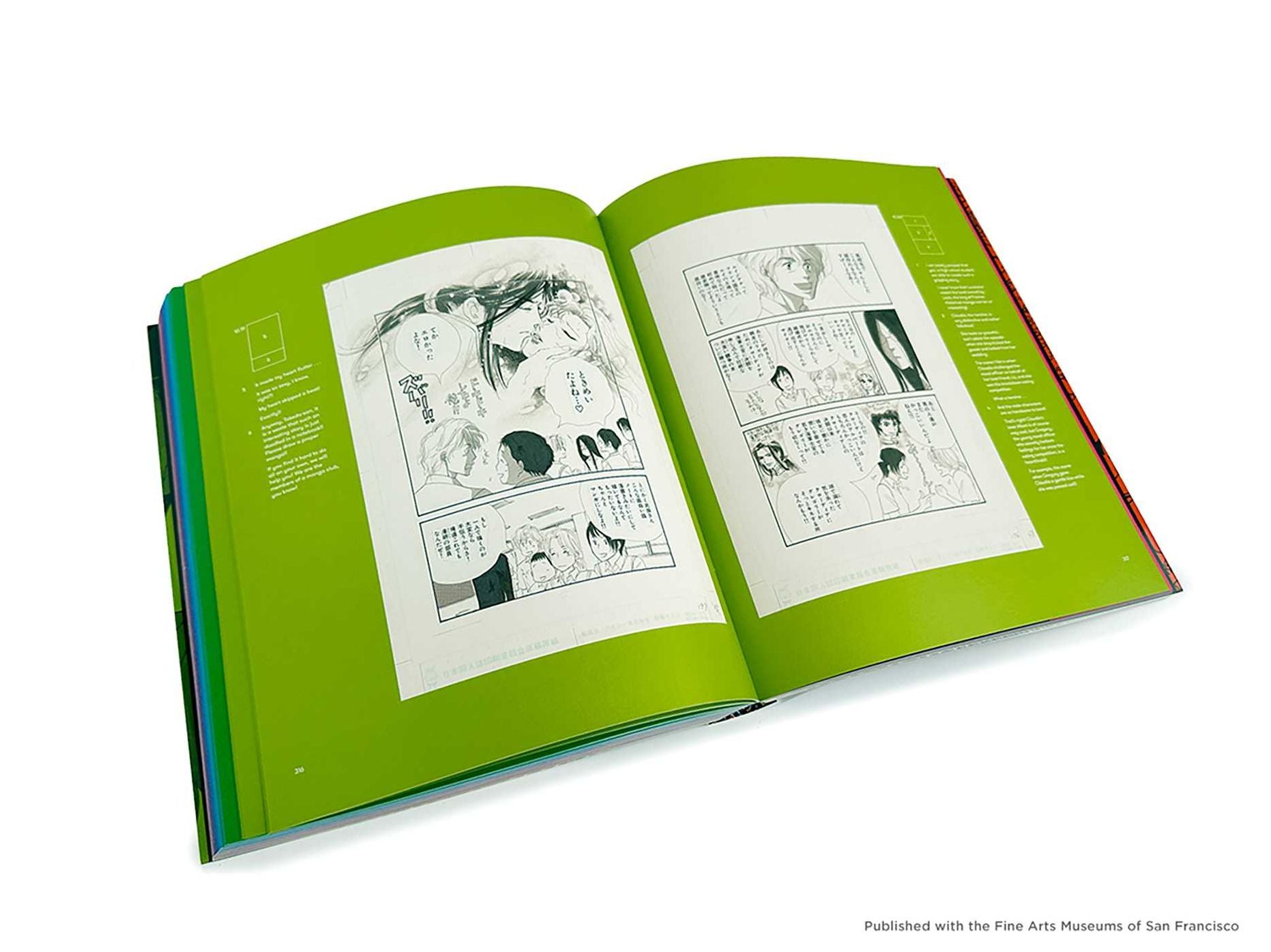 The Art of Manga