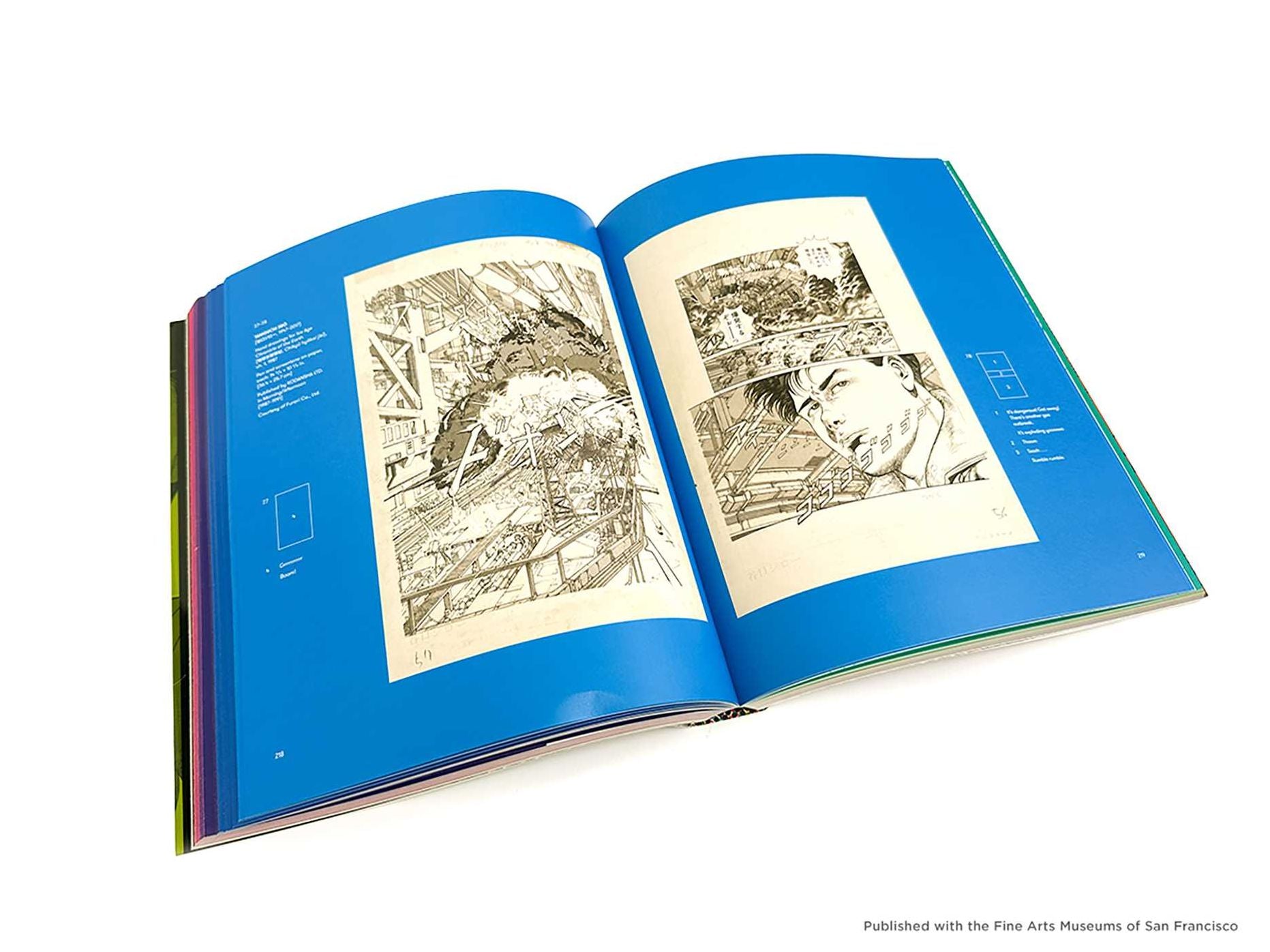 The Art of Manga