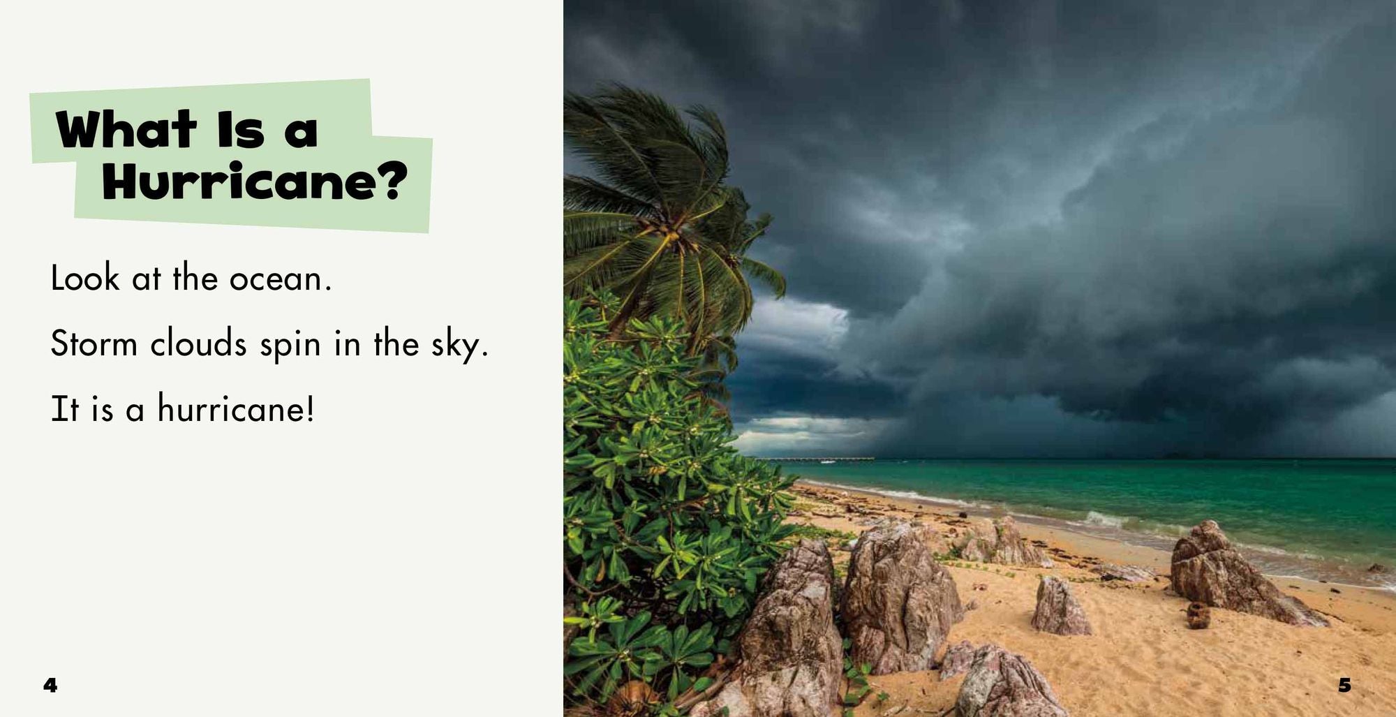What Are Hurricanes?