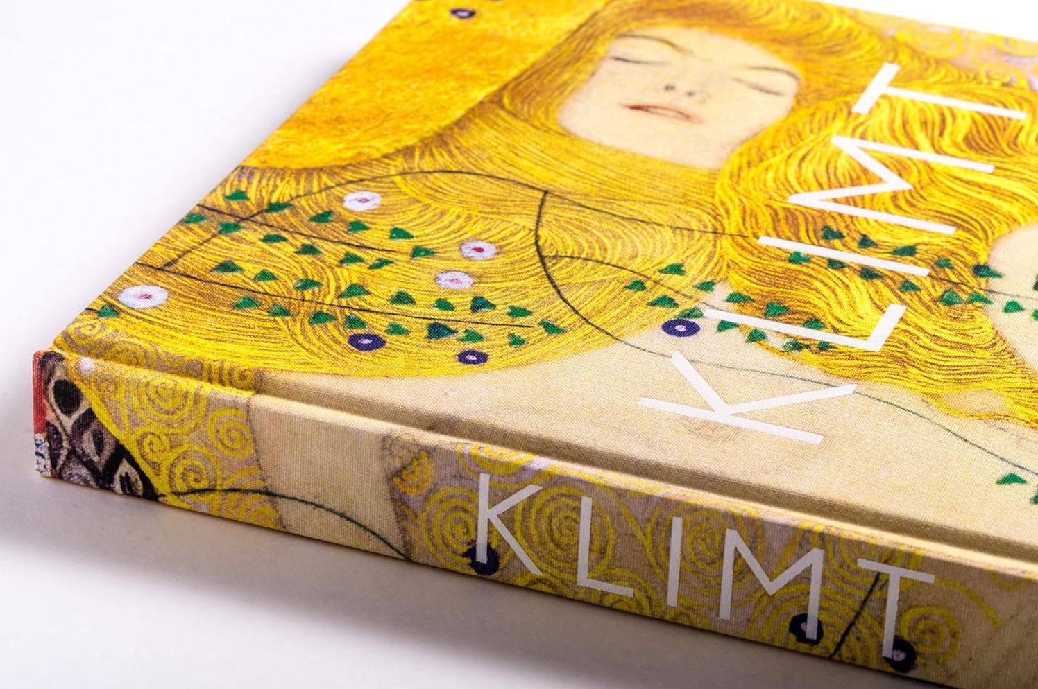 Klimt: The Bigger Picture