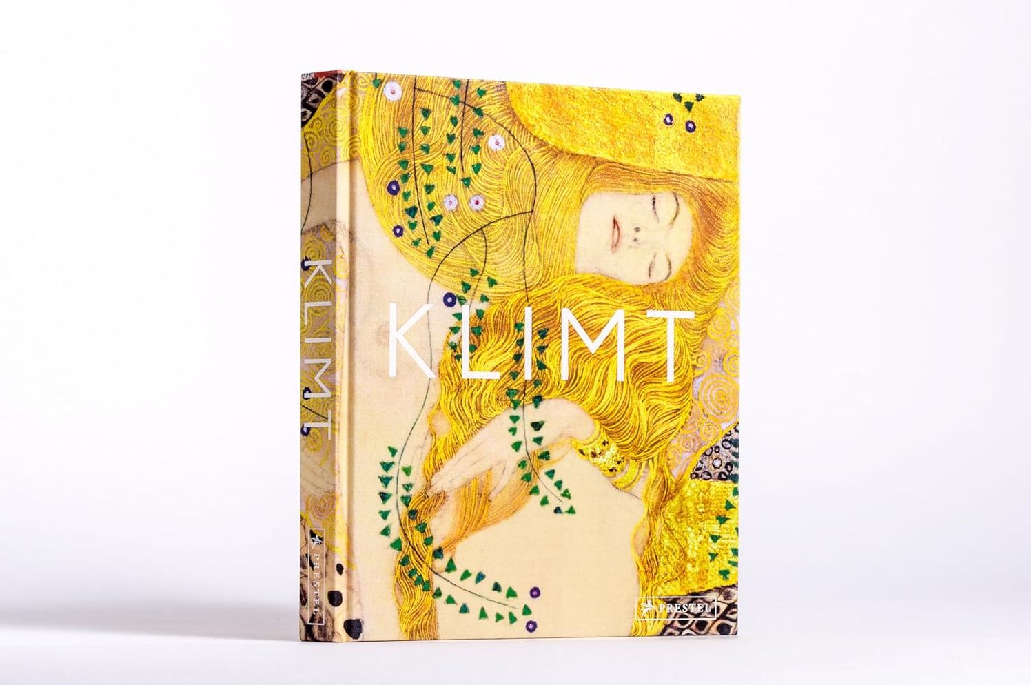 Klimt: The Bigger Picture