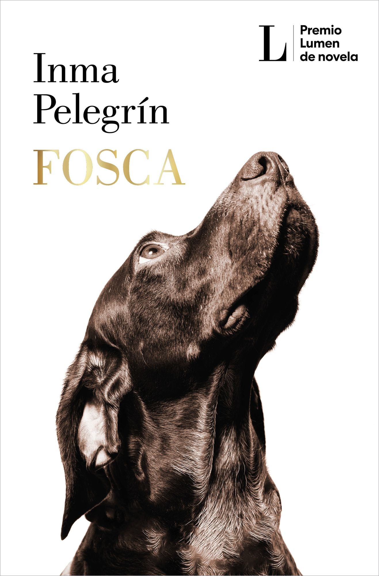 Fosca (PREMIO LUMEN 2025) / Gloomy (2025 LUMEN AWARD)