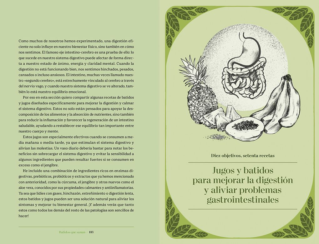 Batidos que sanan. Descubre la ciencia de una salud óptima a través de 80 recetas infalibles / Healing Smoothies