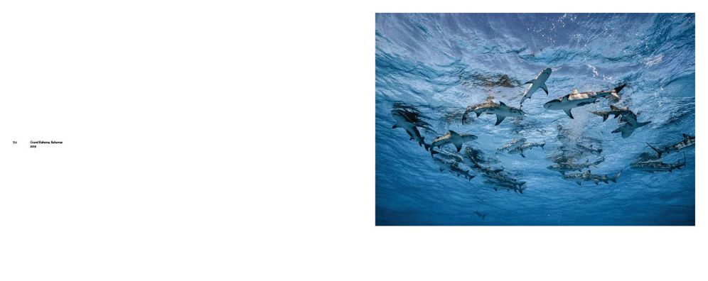 Cristina Mittermeier: A Greater Wisdom