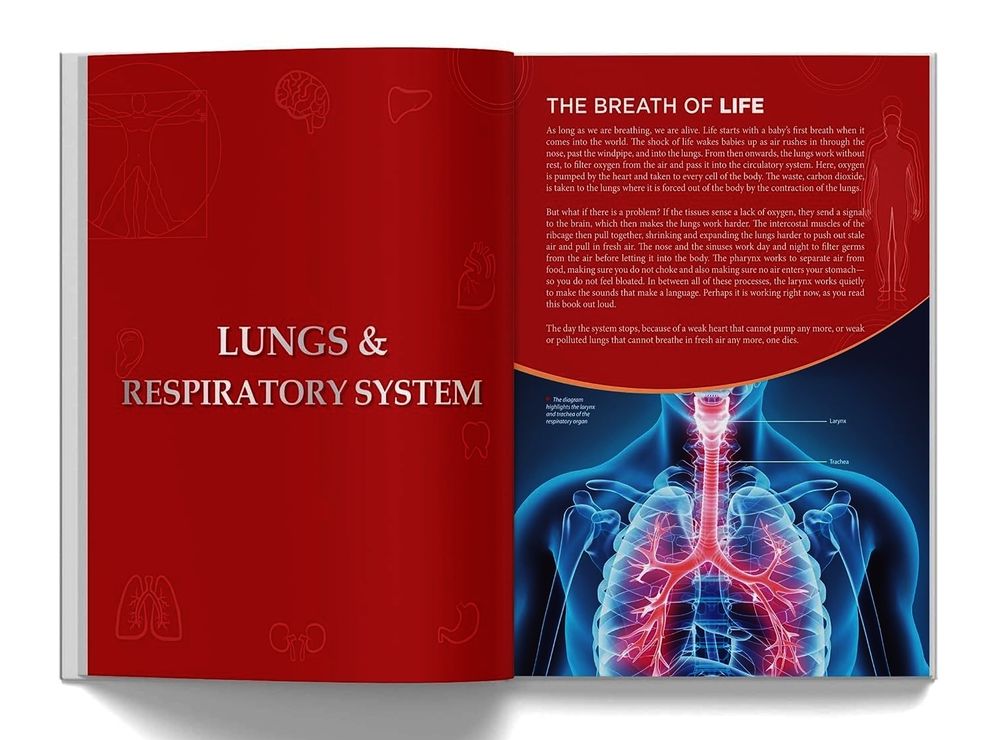 Knowledge Encyclopedia Human Body