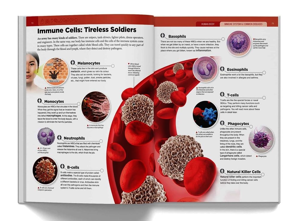 Knowledge Encyclopedia Human Body