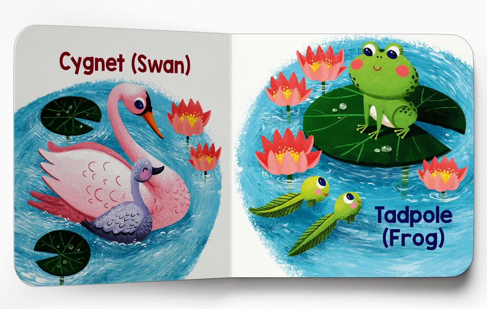 My First Baby Animal Boxed Set - (mini Box set)