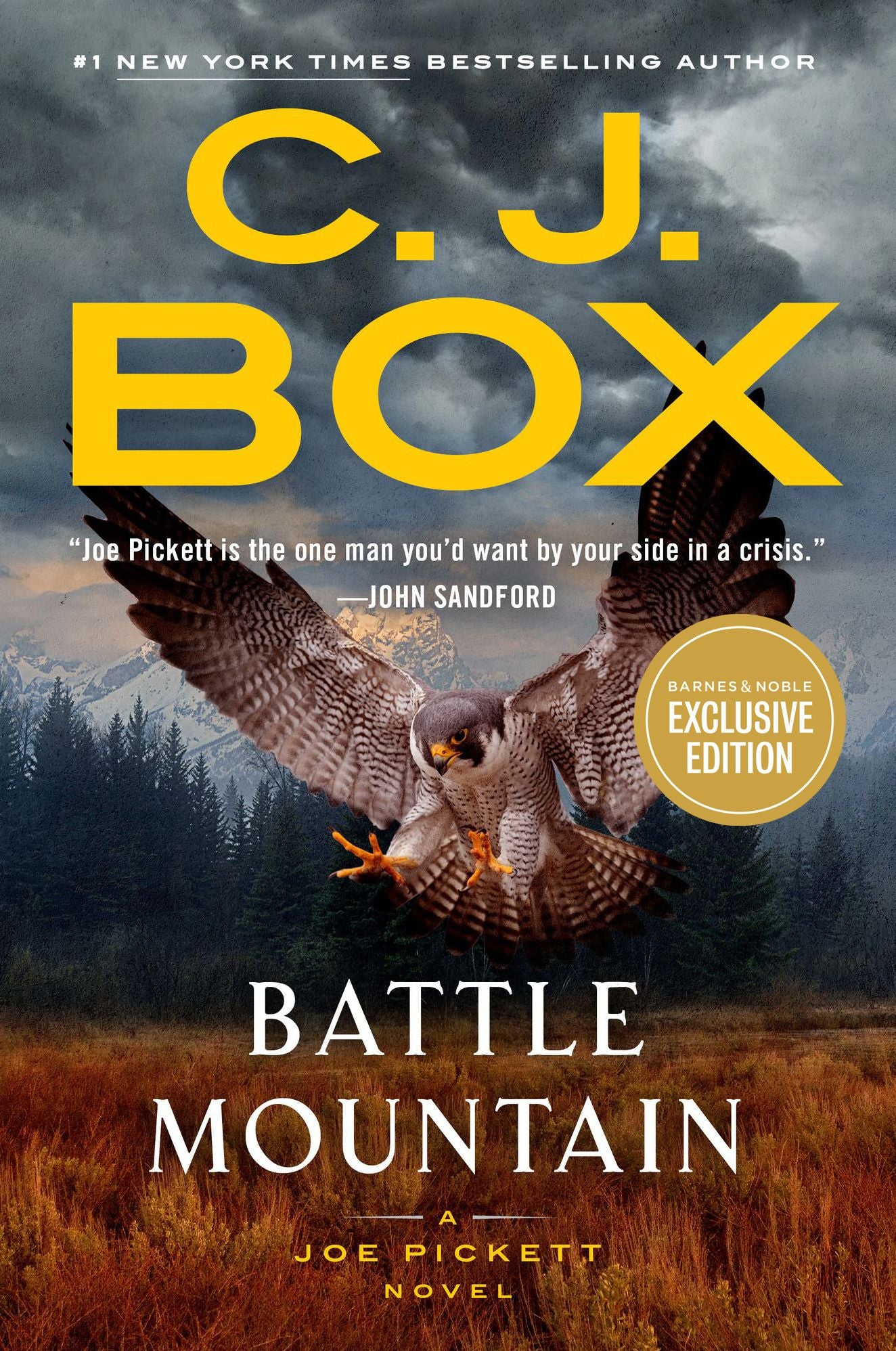 Battle Mountain (B&N Exclusive Edition) (Joe Pickett Series #25)