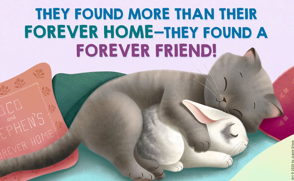 Coco and Stephen, Together Forever: How a Kitten and Bunny Became Best Friends