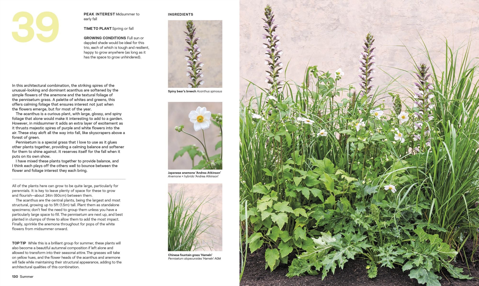What Grows Together: Fail-Safe Plant Combinations for Every Garden