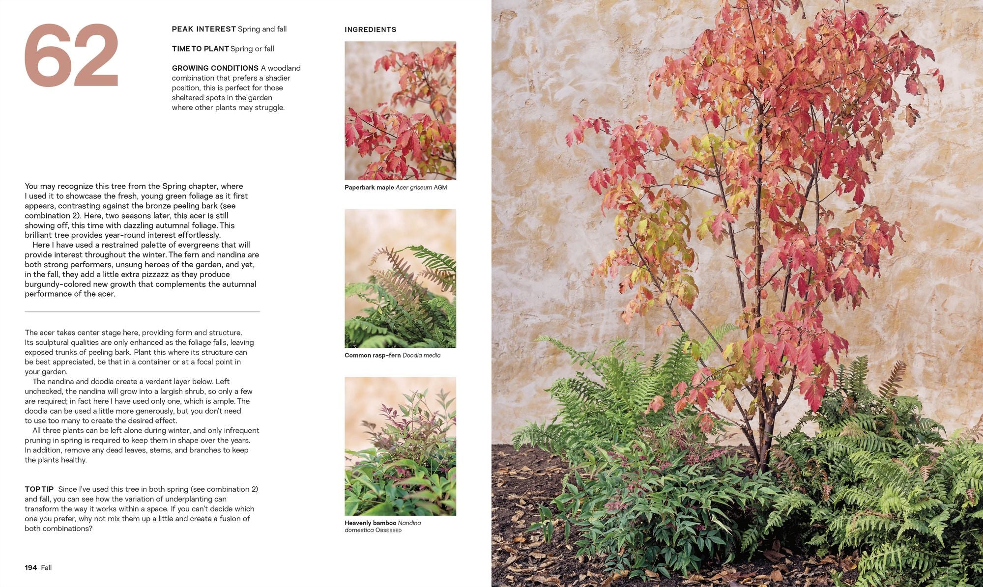 What Grows Together: Fail-Safe Plant Combinations for Every Garden