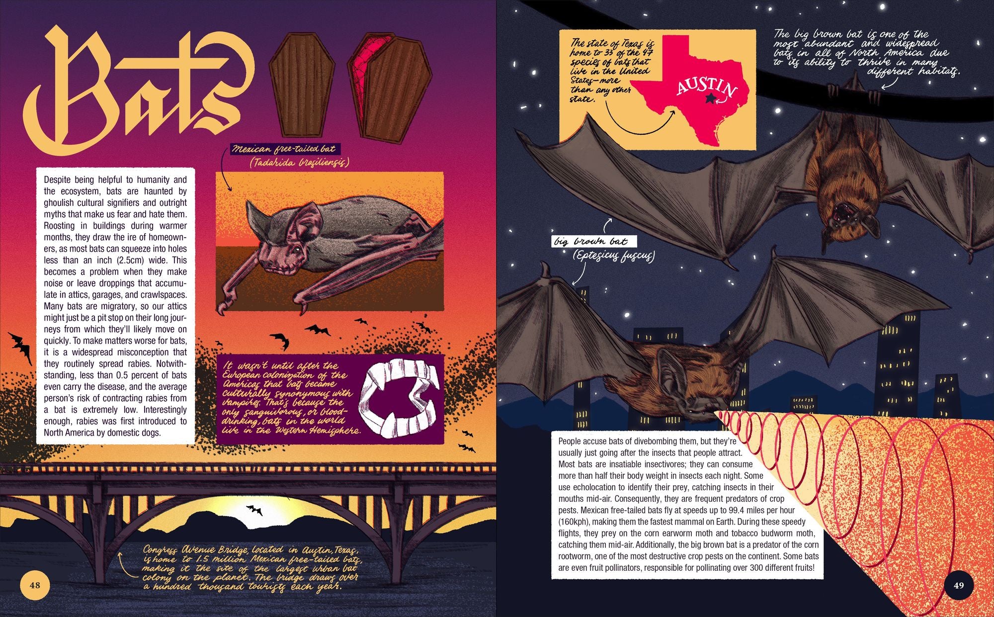 Pests & Other Friends: Discover the True Nature of the Most Maligned Animals