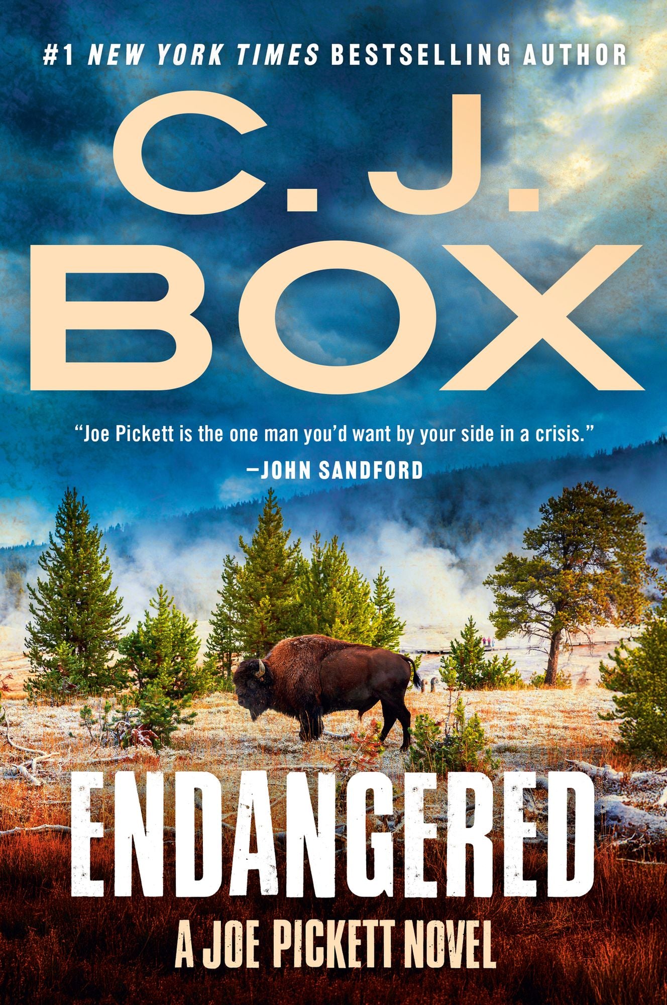 Endangered (Joe Pickett Series #15)