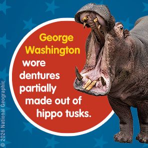 Weird But True! Know-It-All U.S. Presidents, Updated & Expanded