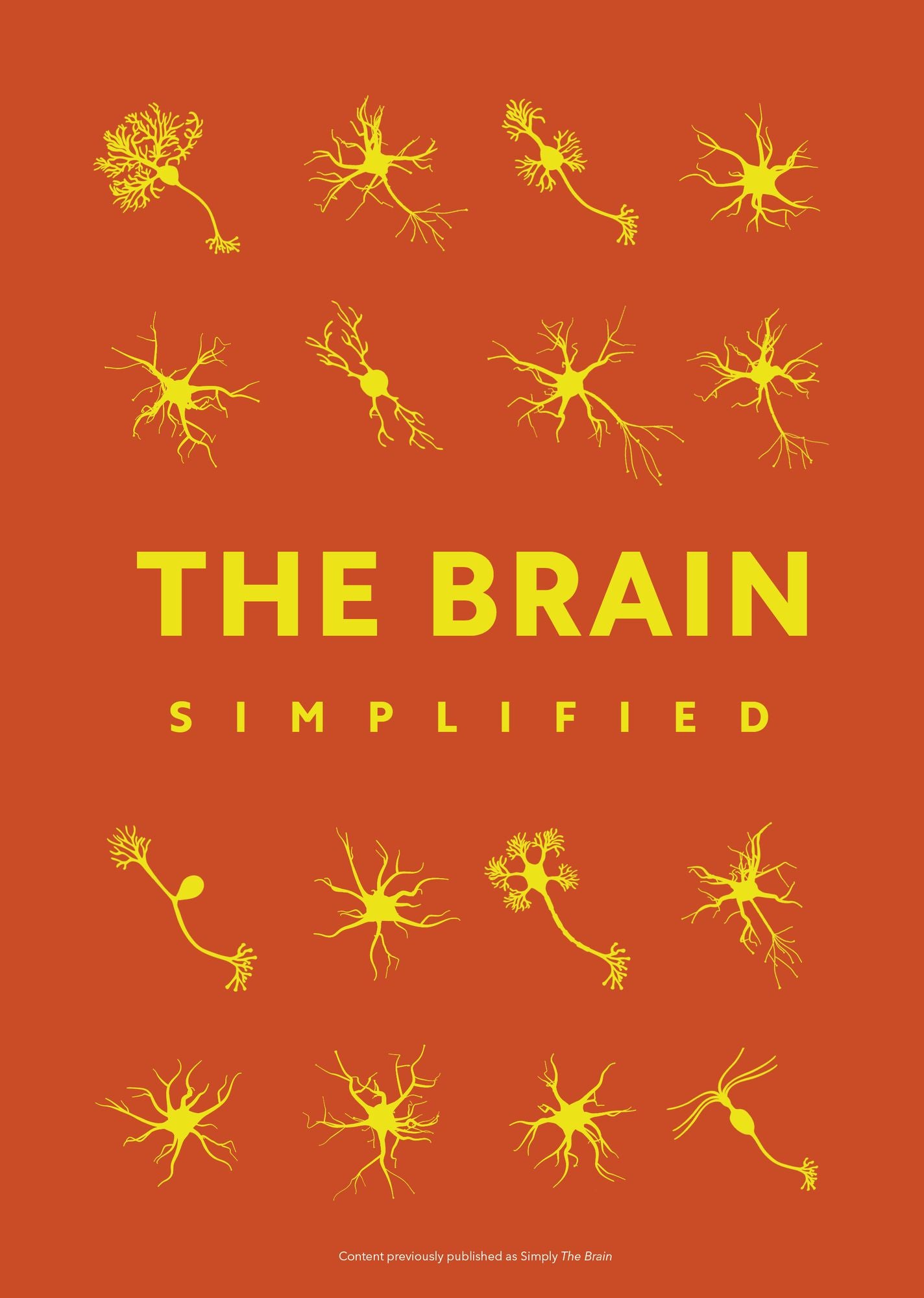 The Brain Simplified