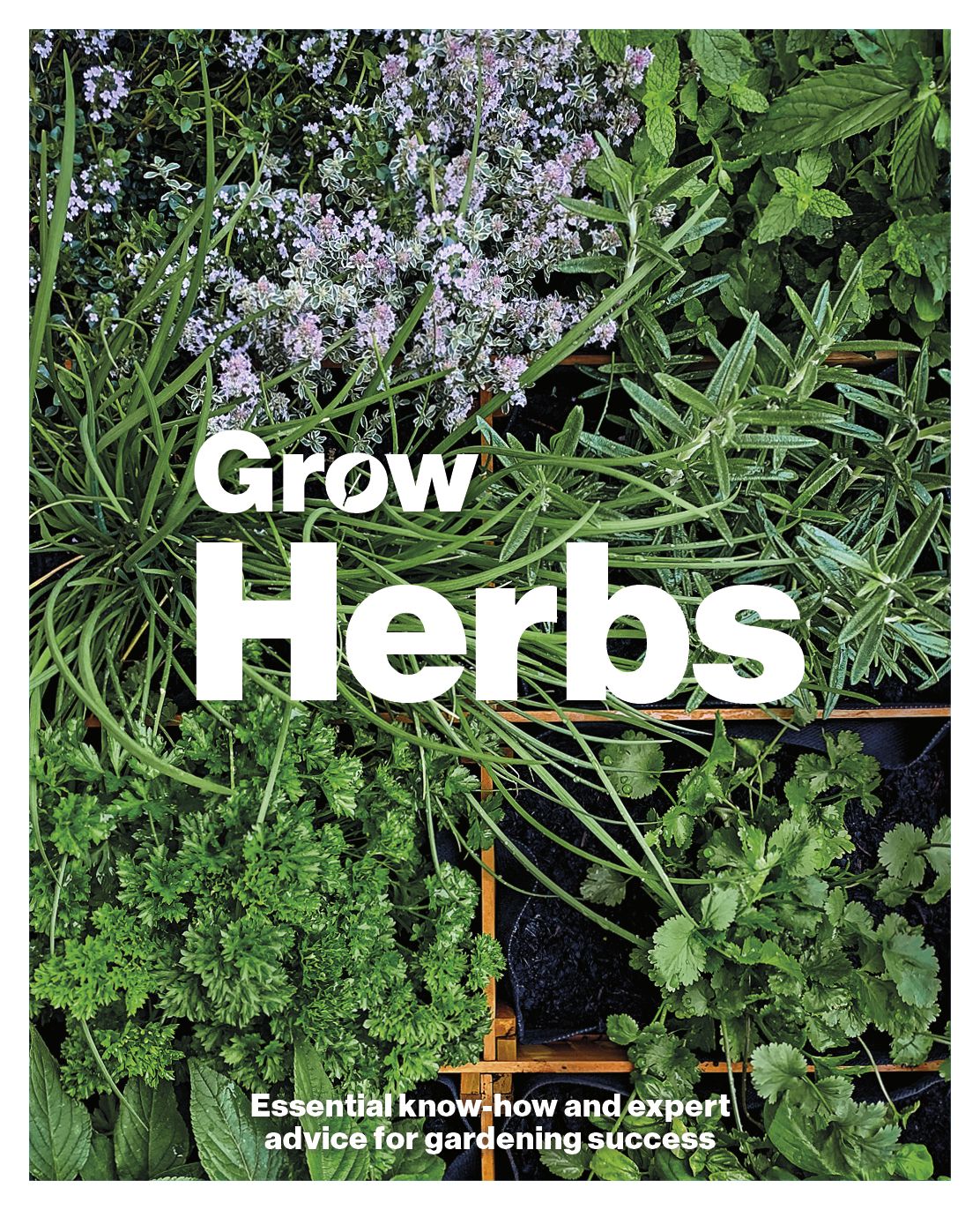 Grow Herbs