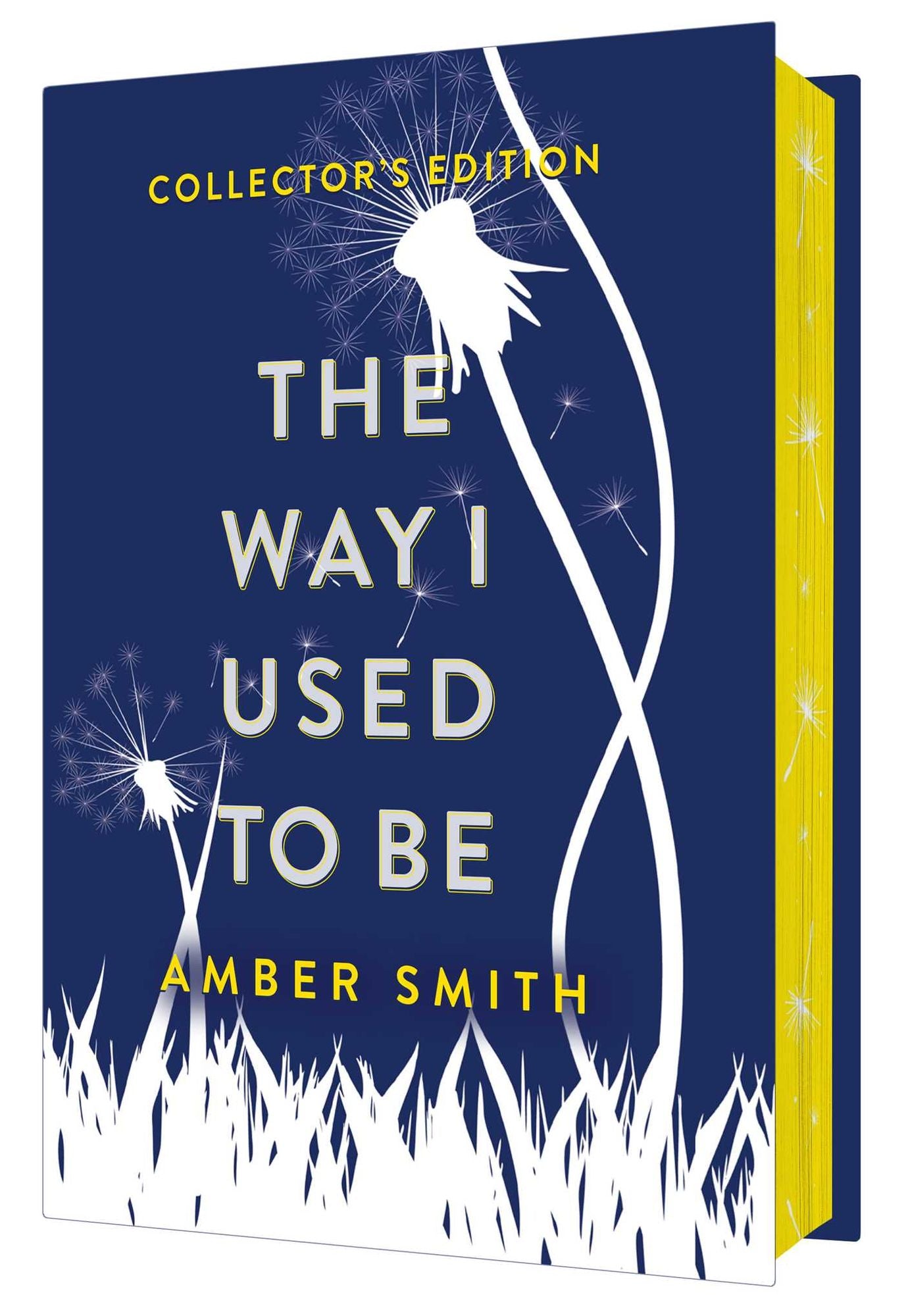 The Way I Used to Be (Collector's Edition)