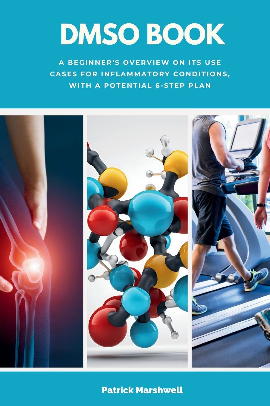 DMSO Book: A Beginner's Overview on its Use Cases for Inflammatory Conditions, with a Potential 6-Step Plan