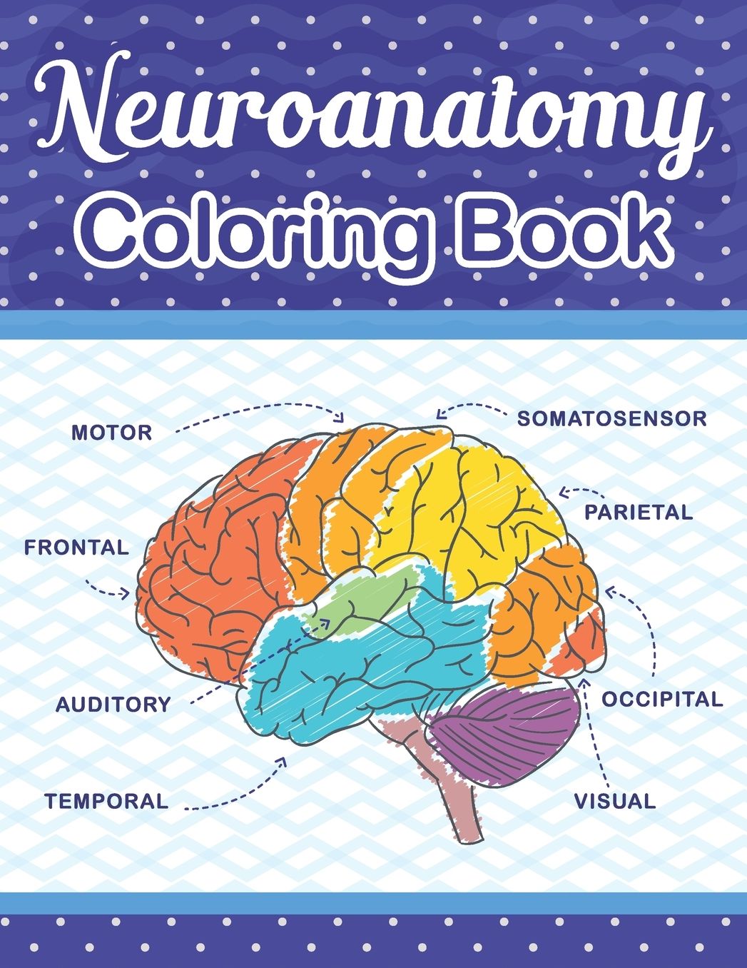 Neuroanatomy Coloring Book: The Ultimate Human Brain student's self-test Coloring book for Neuroscience. The Human Brain Anatomy Coloring Book for Neuroscience Nurses Doctors medical and Nursing students.