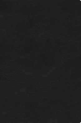ESV Value Compact Bible (TruTone, Black)