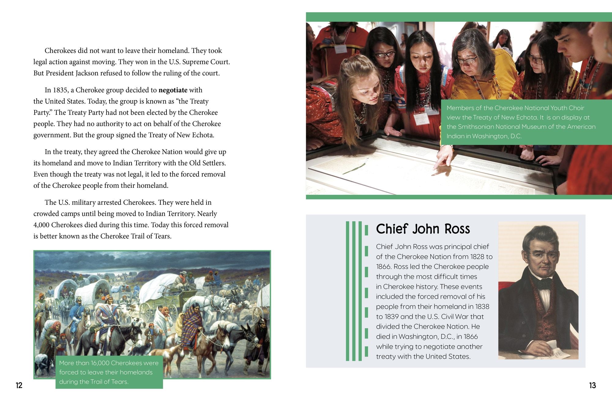 The Cherokee: People, Culture, and History