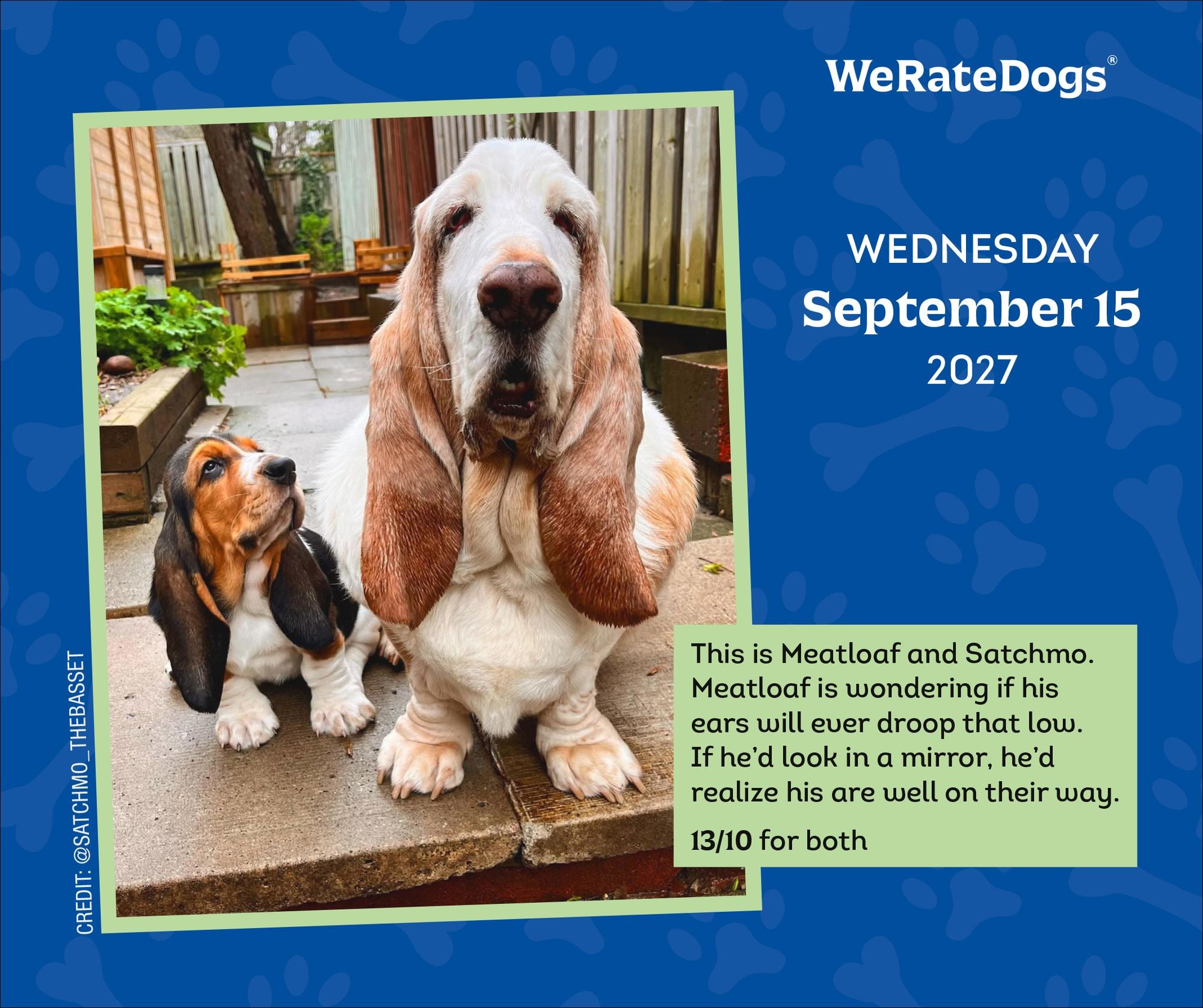 2027 WeRateDogs Day-to-Day Calendar