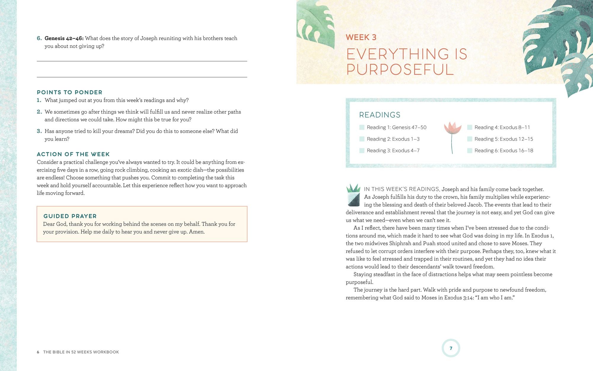 The Bible in 52 Weeks Workbook: A Yearlong Bible Study for Women