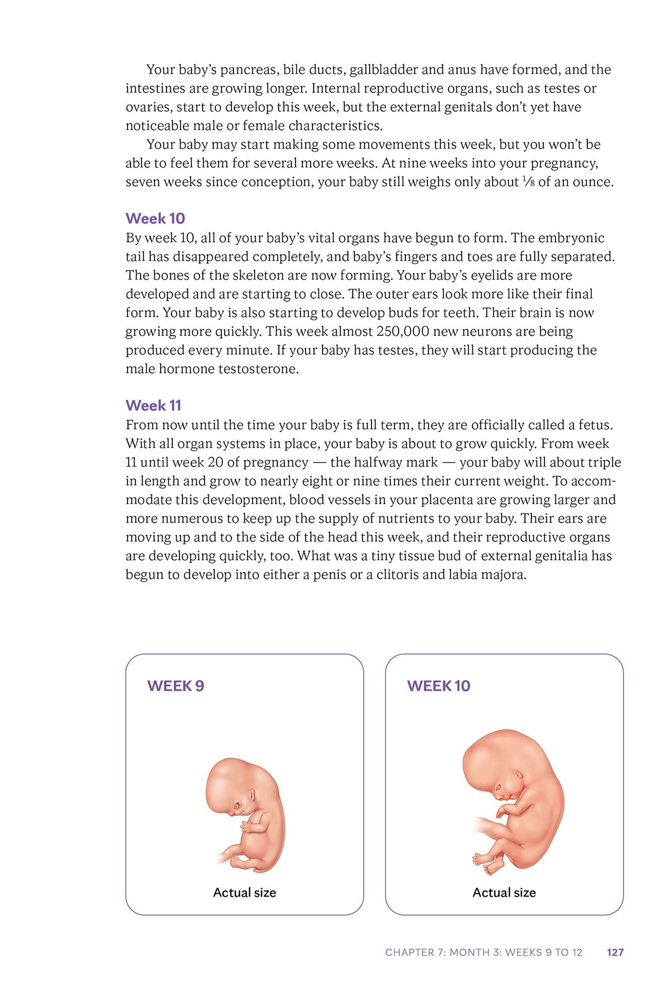 Mayo Clinic Guide to a Healthy Pregnancy, 3rd Edition: Evidence-Based Insight and Real-Life Tips for Expecting Parents, from the World's Leading Medical Experts