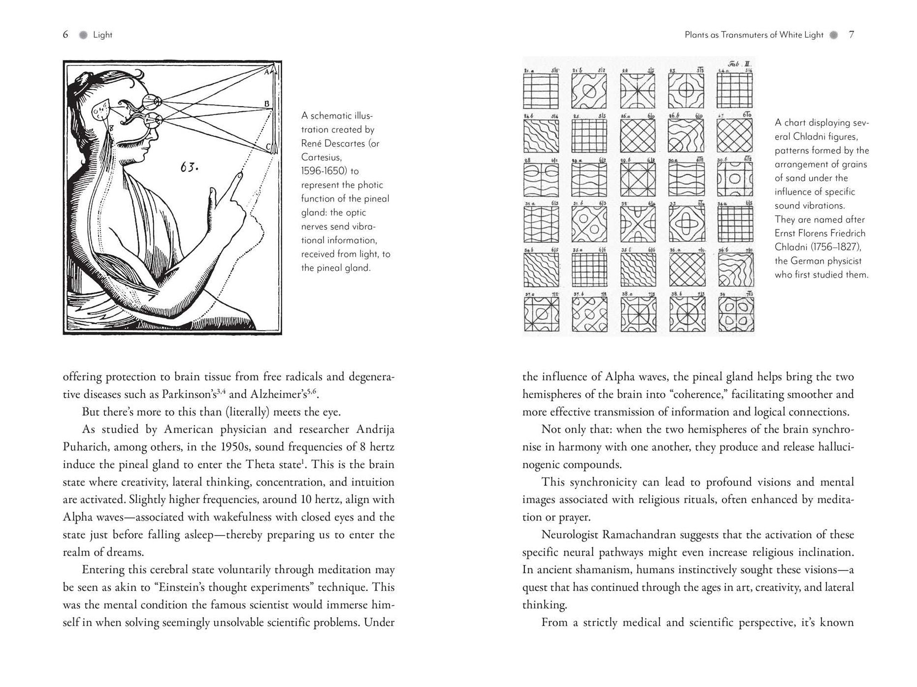 Awakening the Pineal Gland: Cellular Rejuvenation through Light and Sound