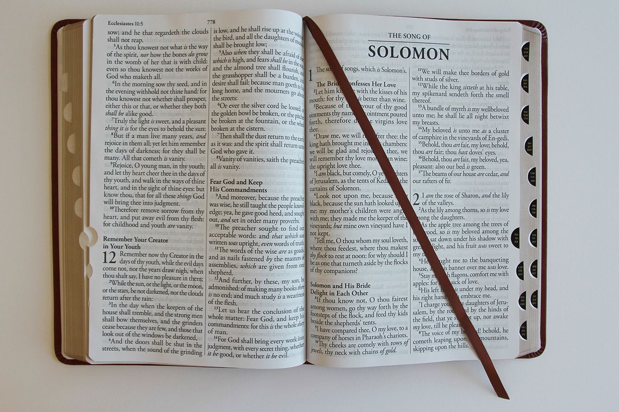 KJV Holy Bible, Giant Print Thinline Large format, Brown Premium Imitation Leather with Ribbon Marker, Red Letter, and Thumb Index