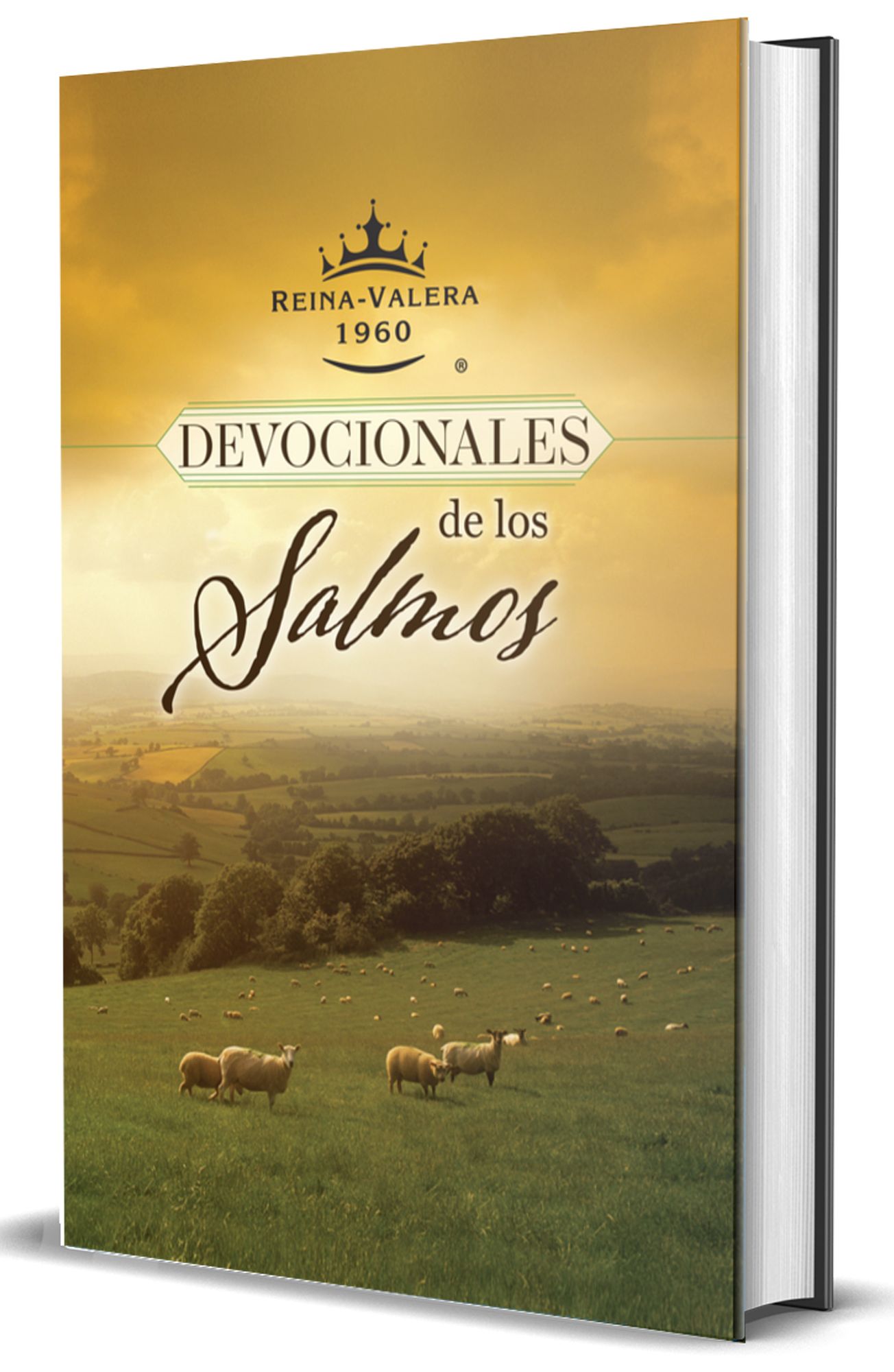 RVR 1960 Devocionales de los Salmos / RVR 1960 Psalms Devotionals