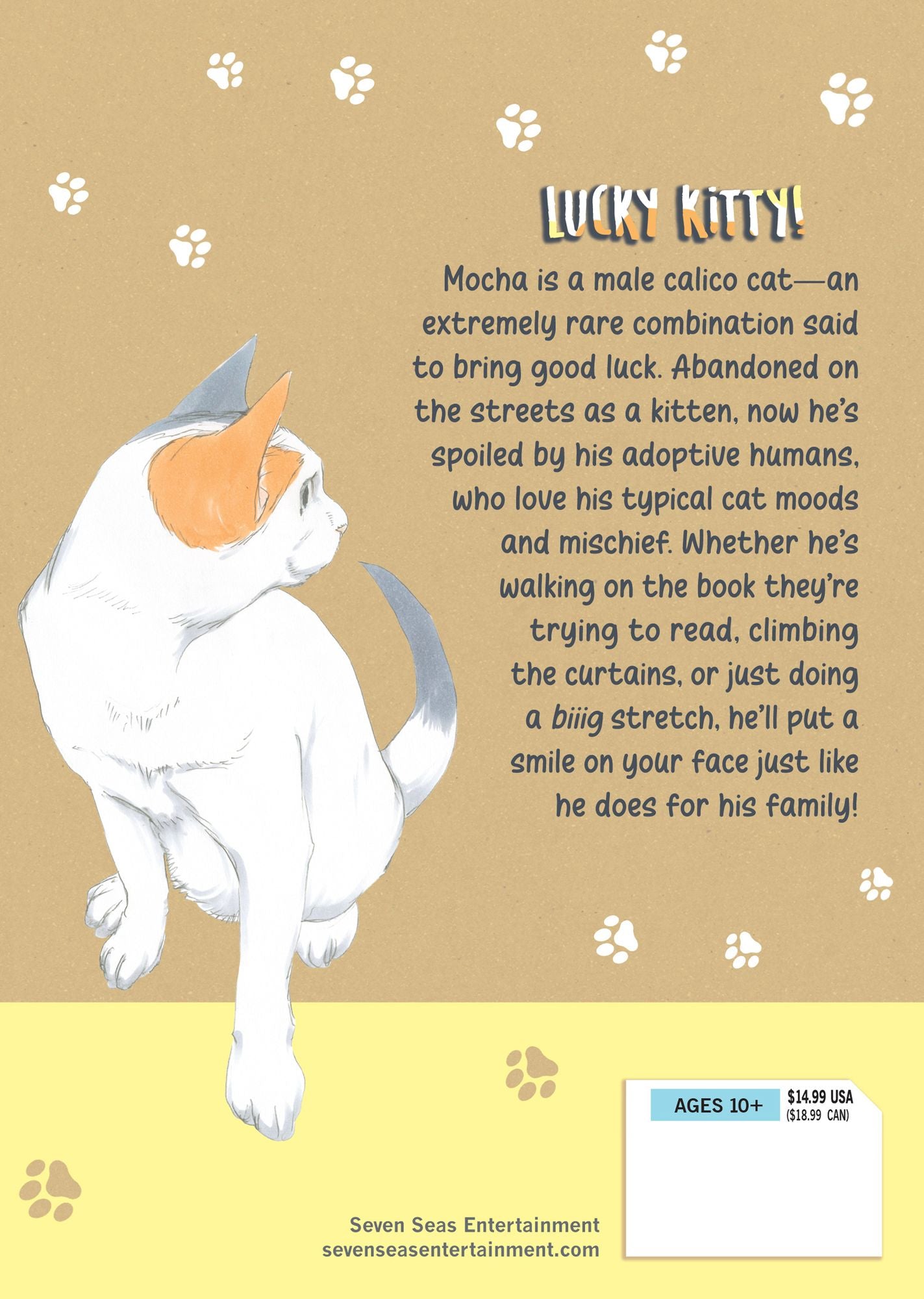 Mocha the Cat and His Forever Family Vol. 1