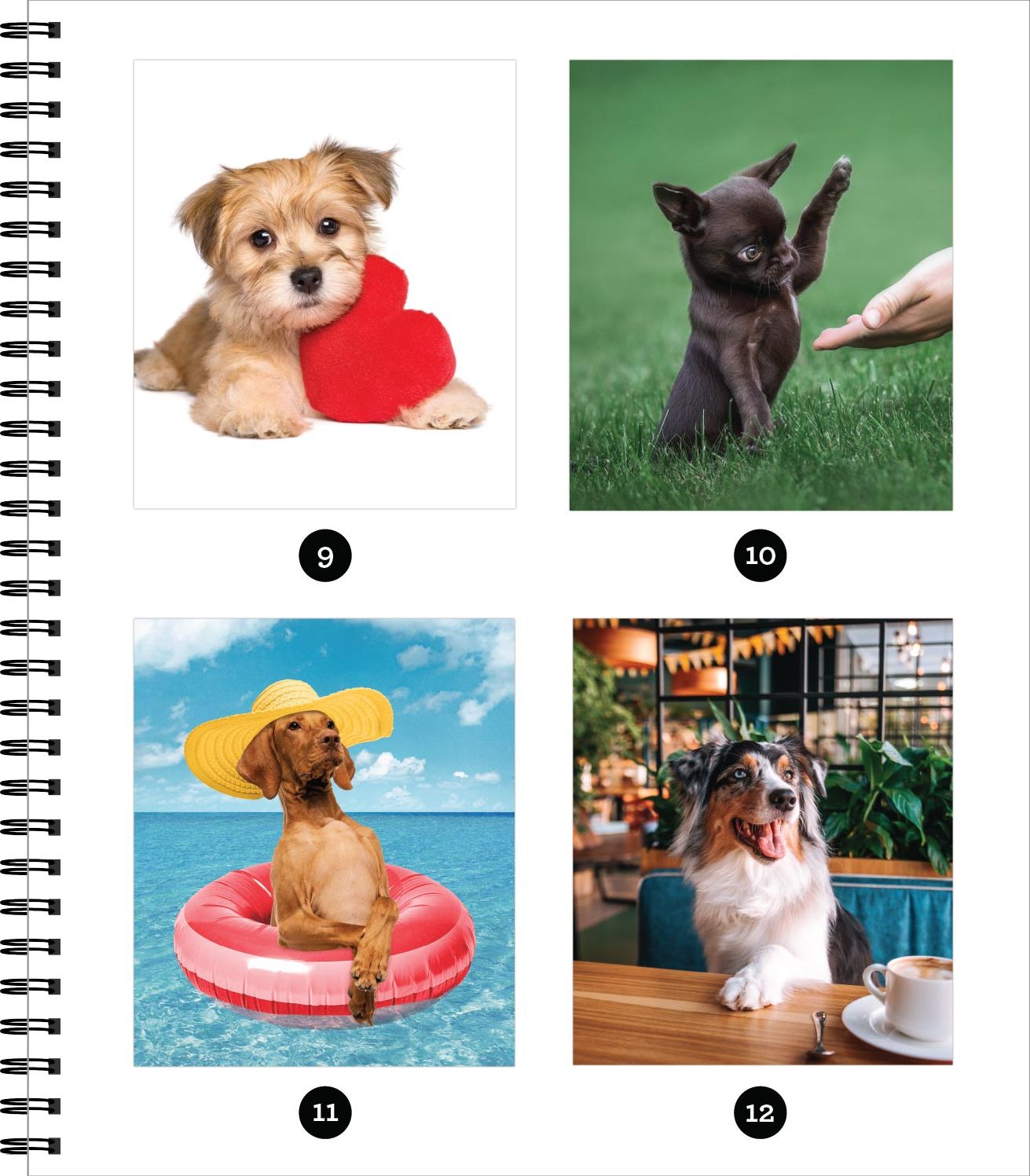 Sticker By Number All You Need is Dogs