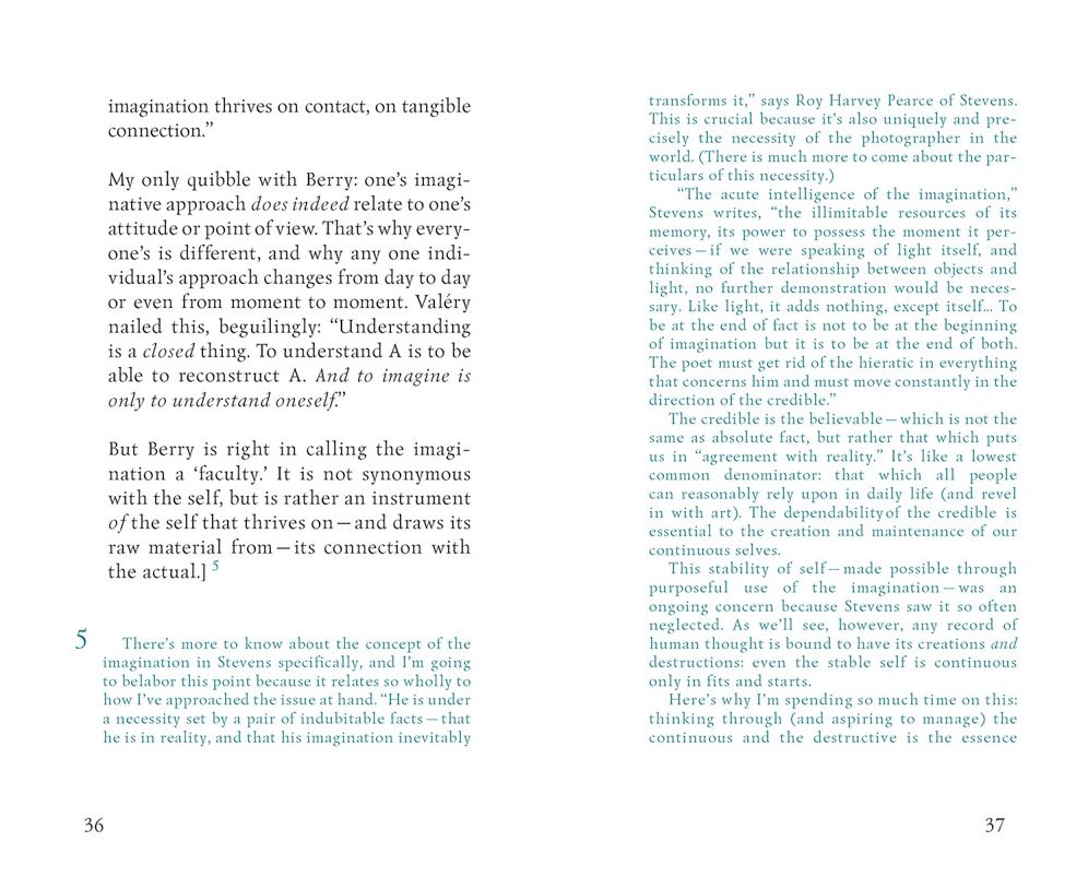 To Photograph Is to Learn How to Die: An Essay with Digressions