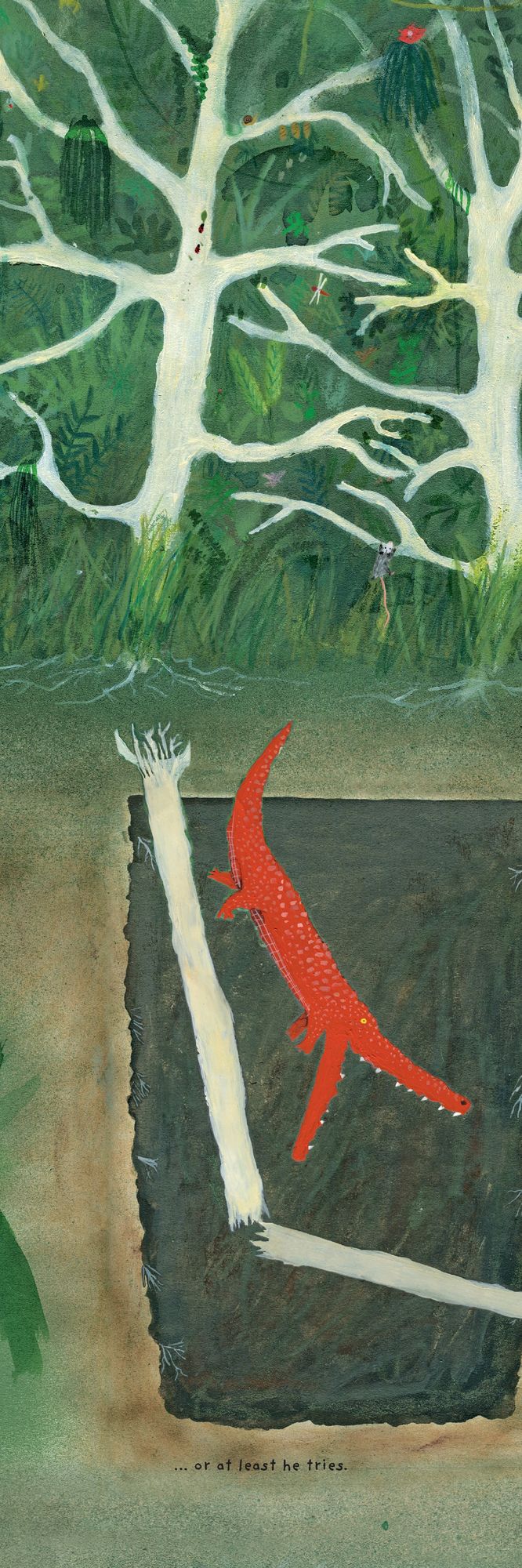 Croco