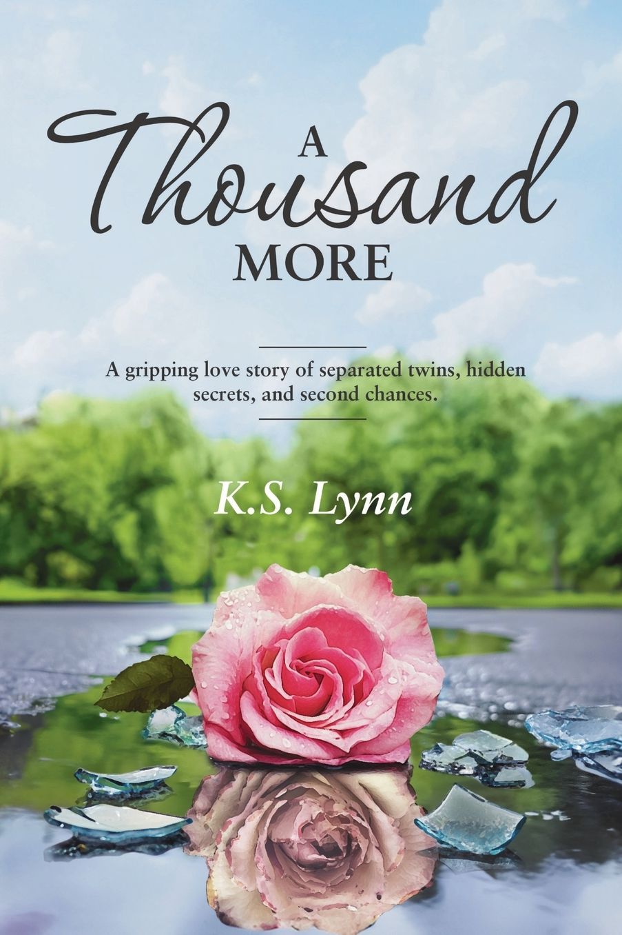 A Thousand More: A gripping love story of separated twins, hidden secrets, and second chances